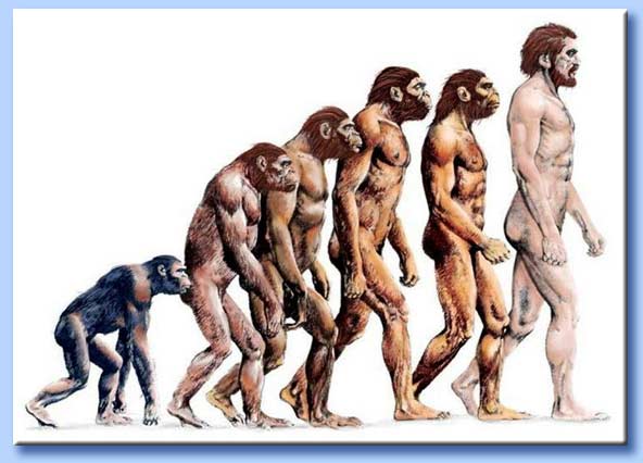 evoluzionismo darwinista