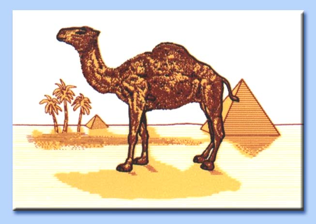 dromedario sulle sigarette camel