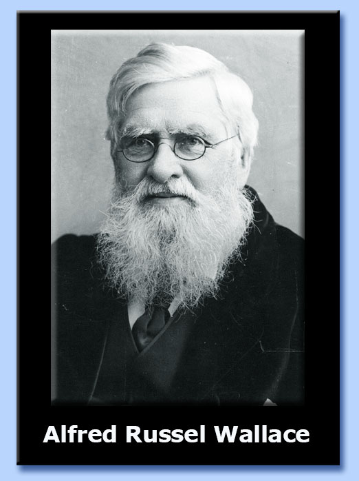 alfred russel wallace