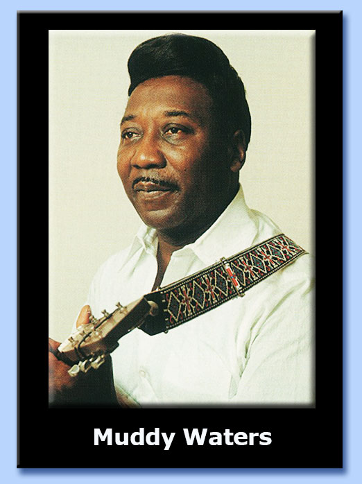 muddy waters