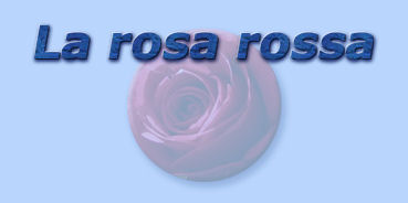 titolo la rosa rossa