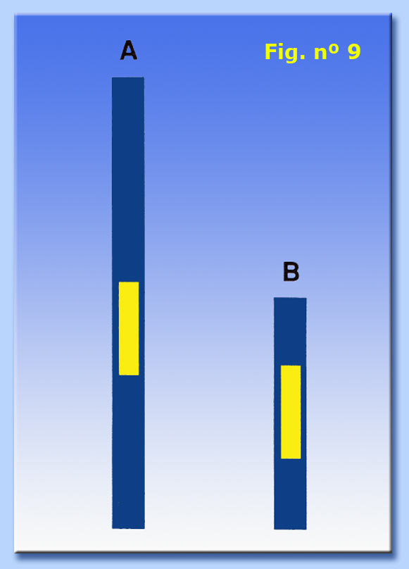 distorsione della dimensione